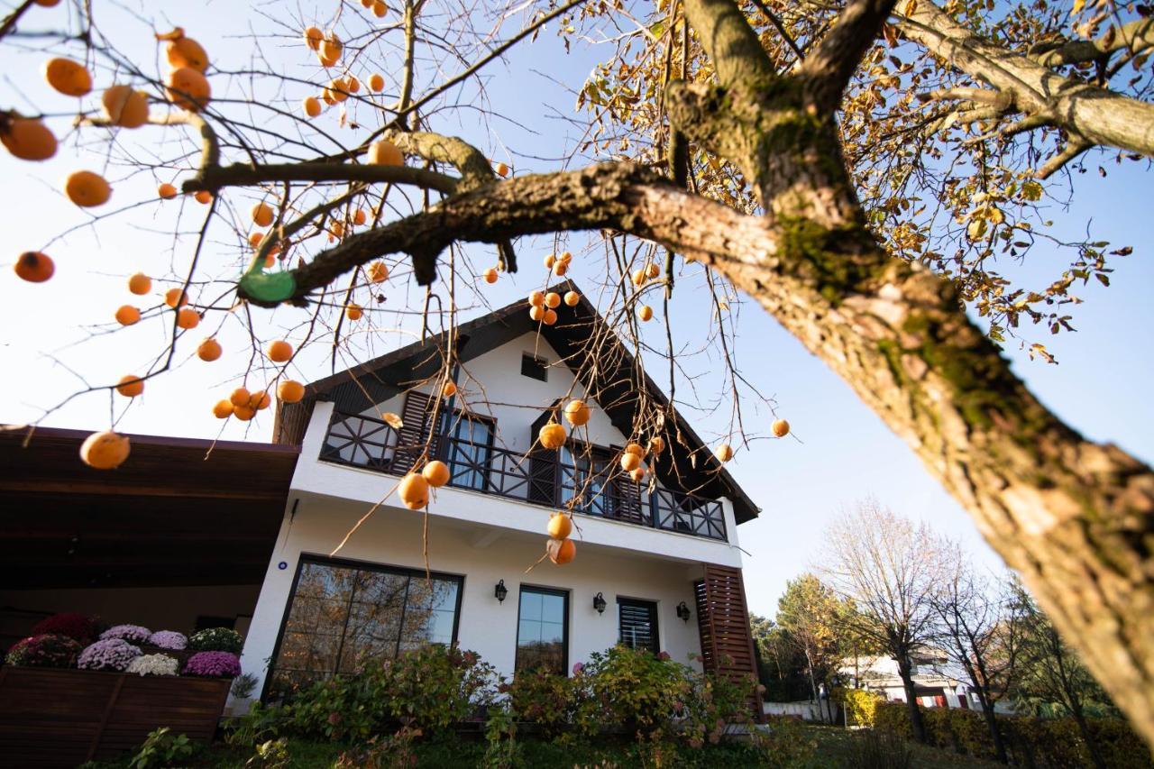 Villa Nora Butik Otel ve Bungalov Bursa Eksteriør billede